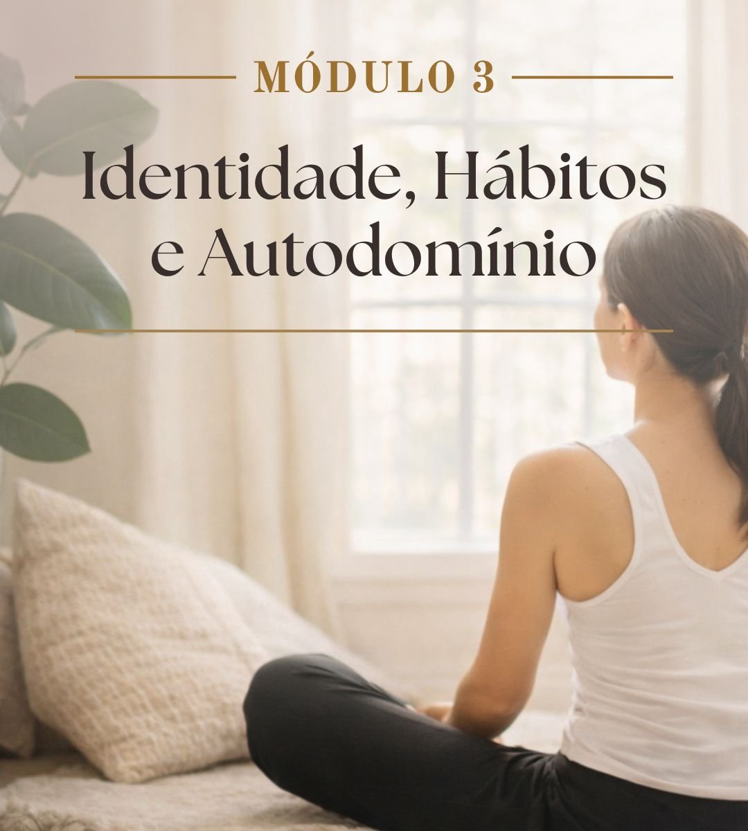 Módulo 3: Identidade, Hábitos e Autodomínio